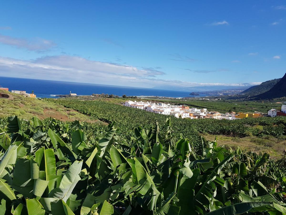 Teno Mountains&Bananas Garden House Apartment Лос Силос Екстериор снимка