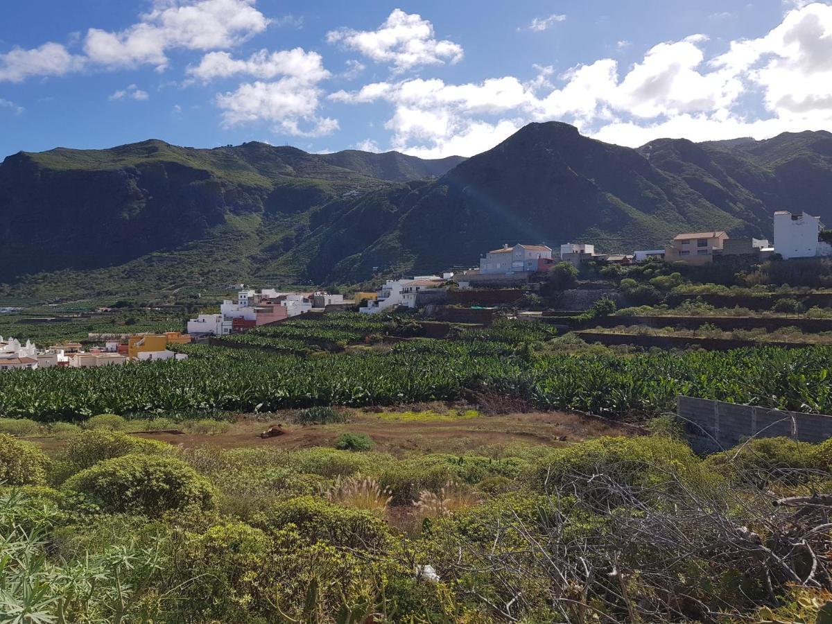 Teno Mountains&Bananas Garden House Apartment Лос Силос Екстериор снимка